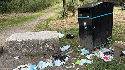 Abandoned waste around a litter bin