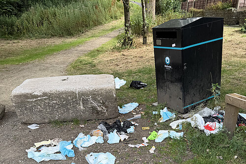 Abandoned waste around a litter bin