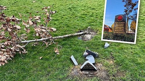 The Covid memorial lying in ruins